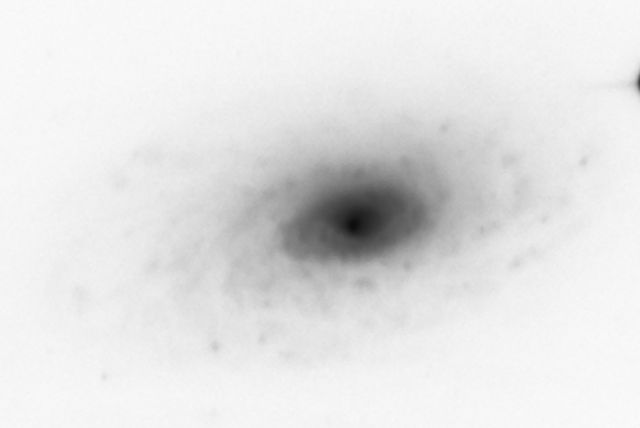 NGC 5055.jpg